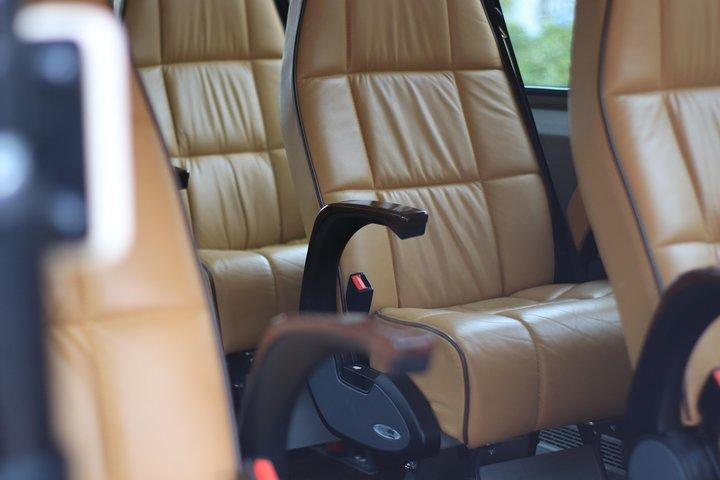 Privérondleiding door de stad in Hamburg met onze VIP Sprinter