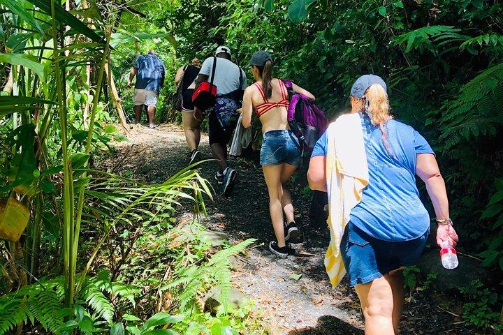 El Yunque Rainforest Tour with Waterslides and Beach