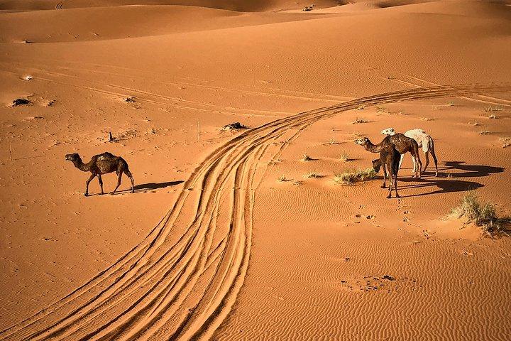 Circuit de 4 jours et 3 nuits de Marrakech au désert de Marrakech