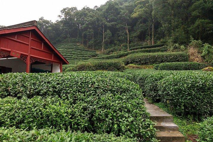 Hangzhou Private Departure Transfer: Hotel til togstationen