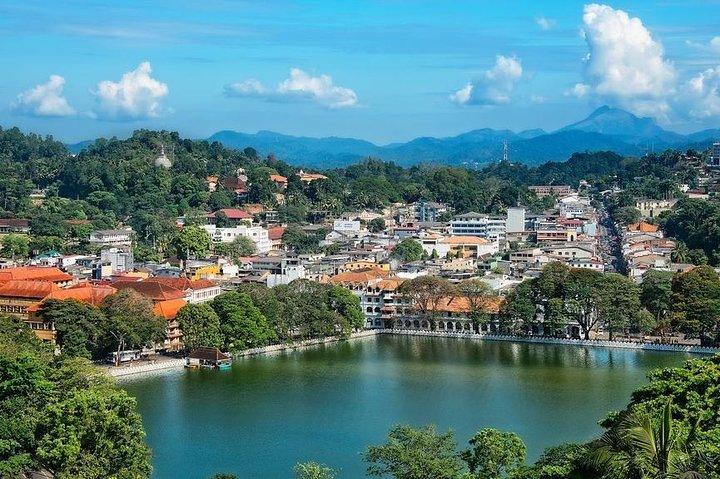 Transferência de Kandy visitando o templo da caverna de Dambulla e o jardim de ervas