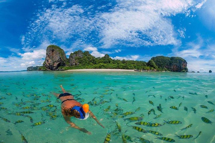 Tour personalizzati di Phi Phi Islands