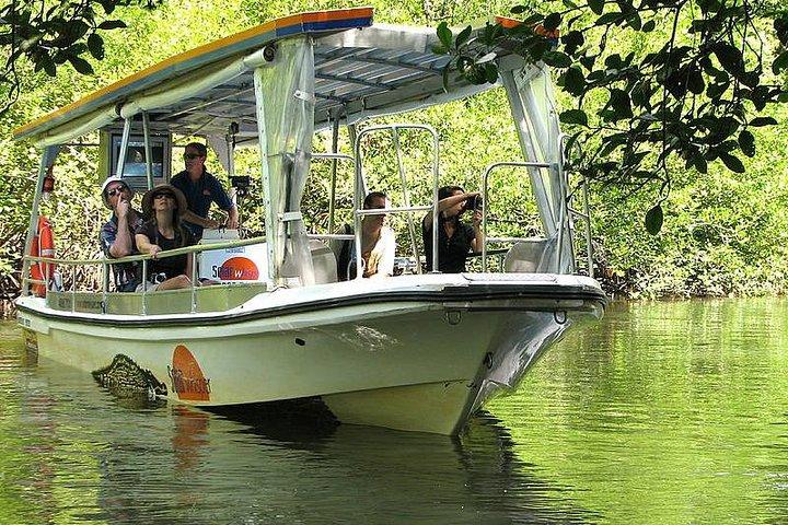 Von Cairns : Cooktown, Daintree & Outback 3-tägige Tour in kleiner Gruppe