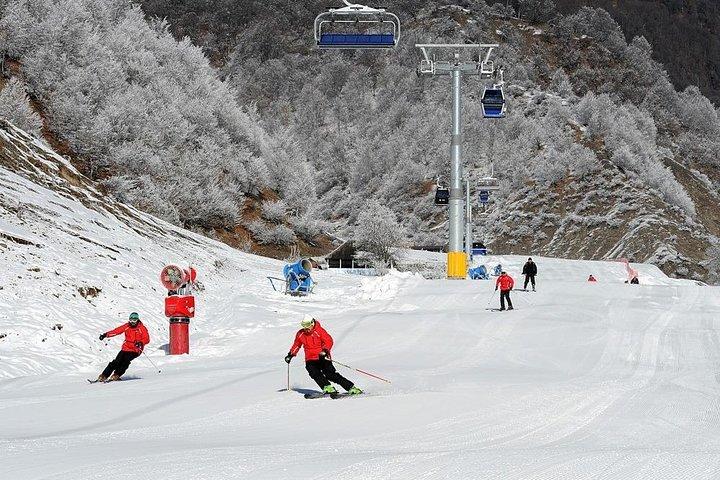 Privat Gabala Tour