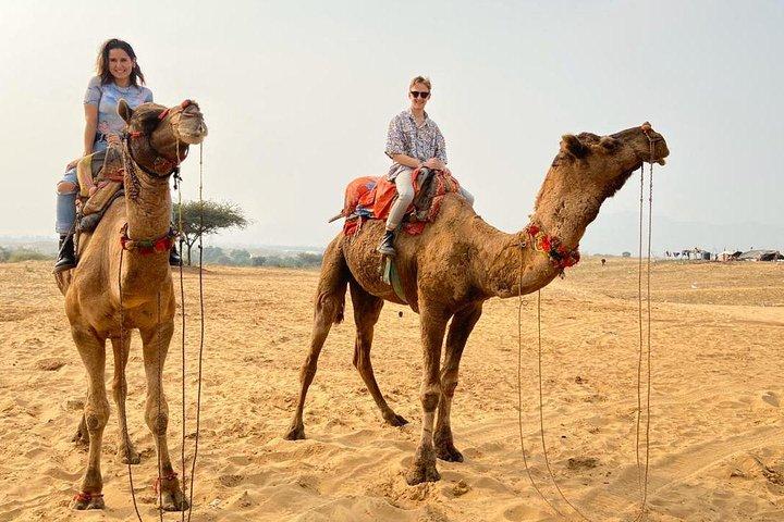 Gita di un giorno a Pushkar da Jaipur – auto privata, Safari, Guida e pranzo