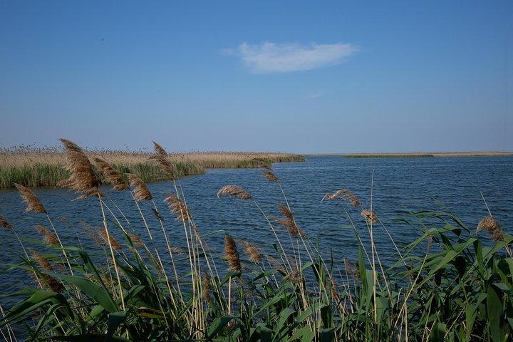 Shirvan National Park Tour