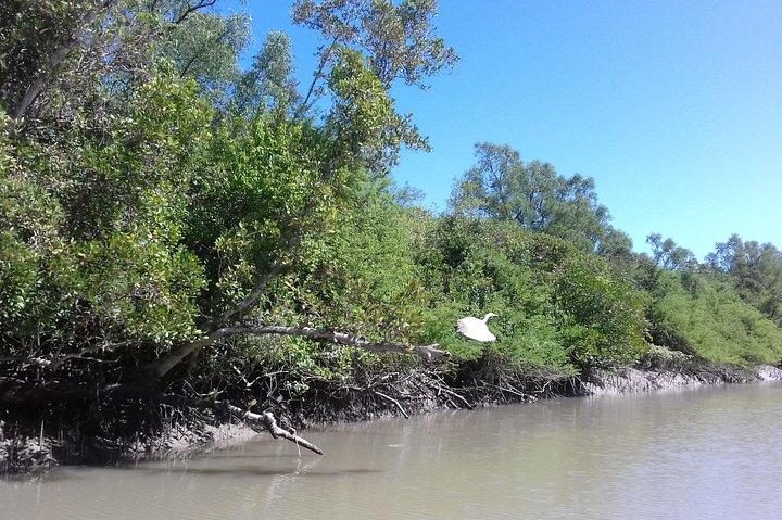 Explore Sundarban