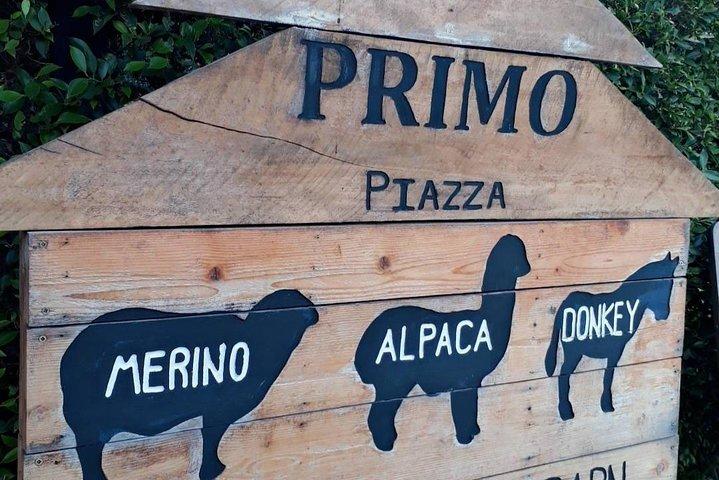 Excursão de um dia a Khao Yai saindo de Bangcoc