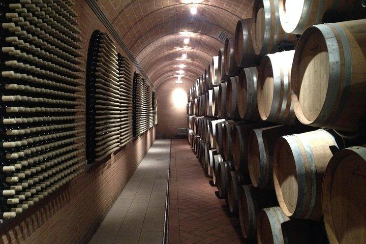 excursão terrestre San Gimignano, vinícola, Volterra do porto de Livorno