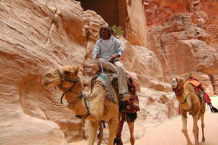 Aqaba Shore Excursion: Privat Petra sightseeingtur med lunch