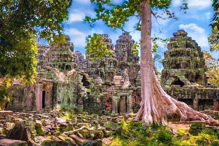 Amazing full day TUKTUK tour