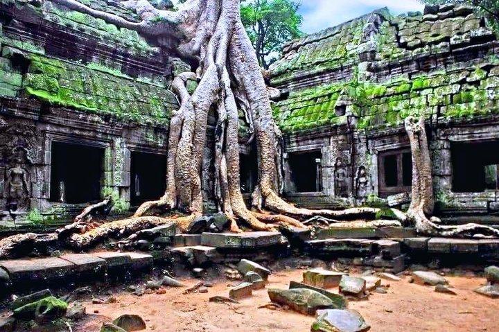Amazing full day TUKTUK tour