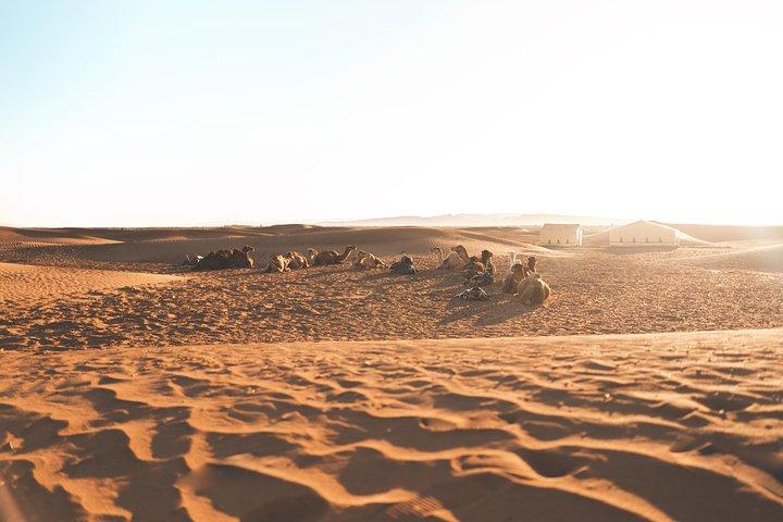 Private 2-Day Desert Tour from Marrakech