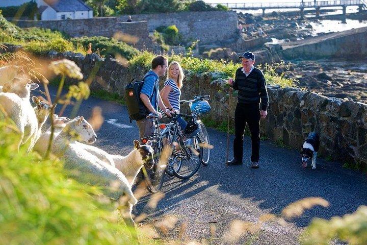 Burren Private Guided E-bike Tour, med besøg på Poulnabrone Tomb