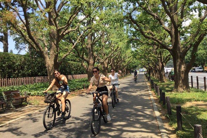 Excursão de bicicleta para grupos pequenos em Tóquio