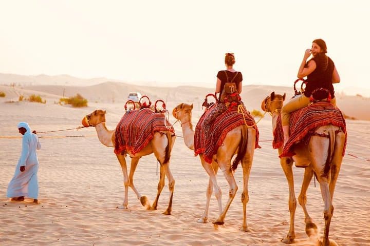 1-Hour Dune Buggy Self-Drive, Camel Ride & Sandboarding Adventure
