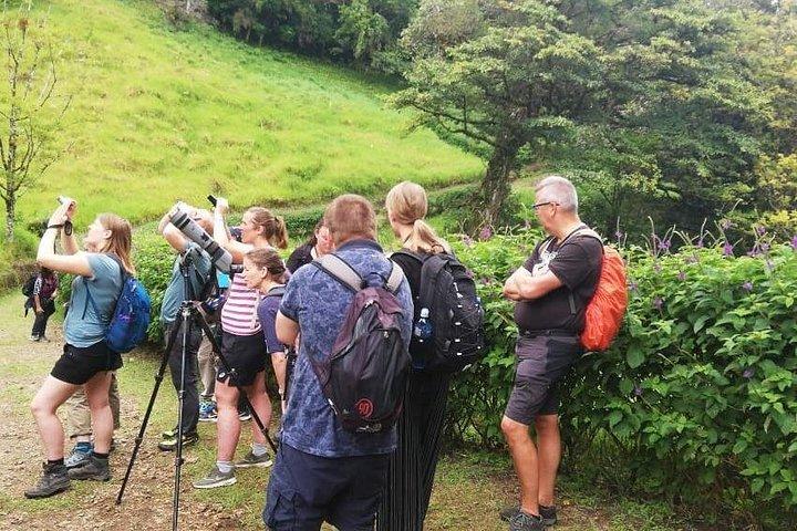Hiking to Curi-Cancha Reserve