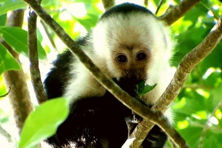 Hiking to Curi-Cancha Reserve