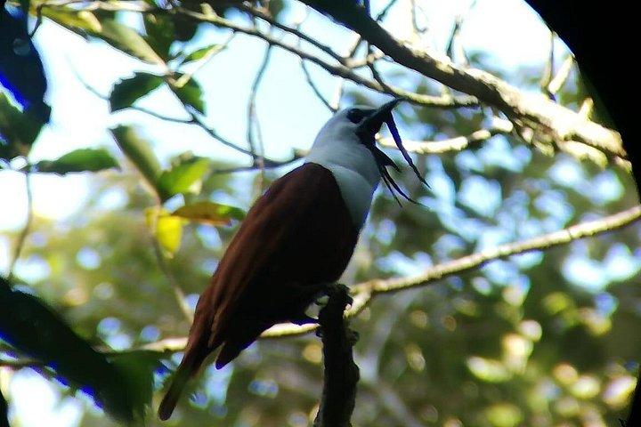 Hiking to Curi-Cancha Reserve