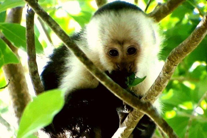 Hiking to Curi-Cancha Reserve