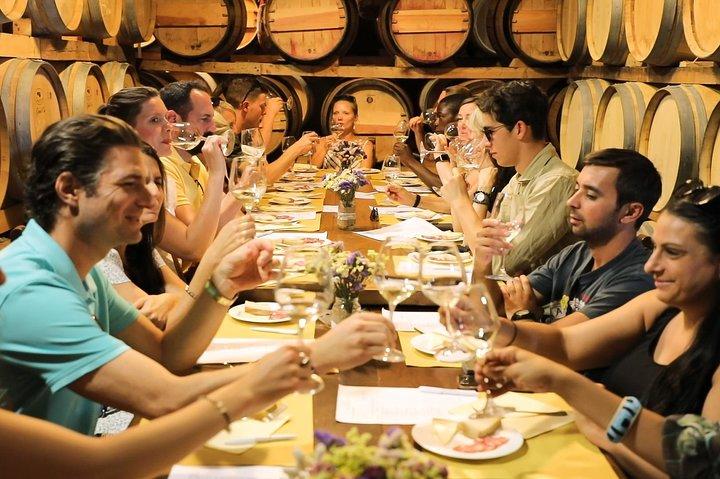 Halve dag Chianti wijnproeverij vanuit Florence met twee wijnhuizen
