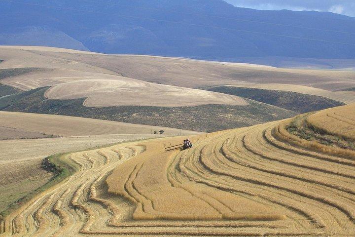 Tour di 5 giorni di lusso in un percorso pittoresco con giardino pittoresco