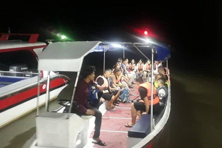 Privado: excursão Firefly de Kuala Lumpur