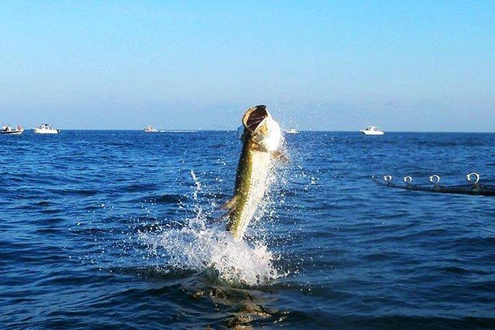 Tampa Bay fiskeri chartre for havene