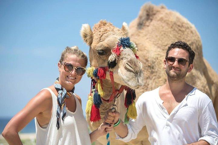 Safari nel deserto e in cammello marino a Los Cabos con pranzo