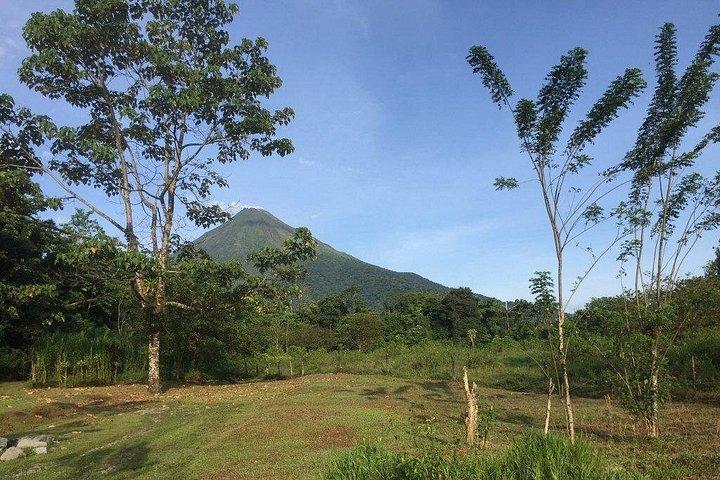 Bird Watching Arenal Oasis