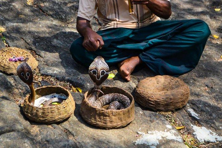 Pacchetto tour Sri Lanka per 5 notti