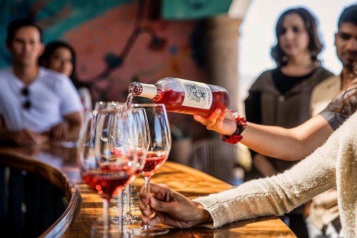 Dégustation de vin Valle de Guadalupe & Casa Frida