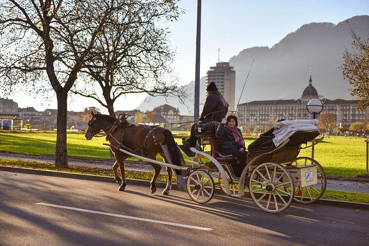 Scenic Interlaken - Private Day Trip from Zurich