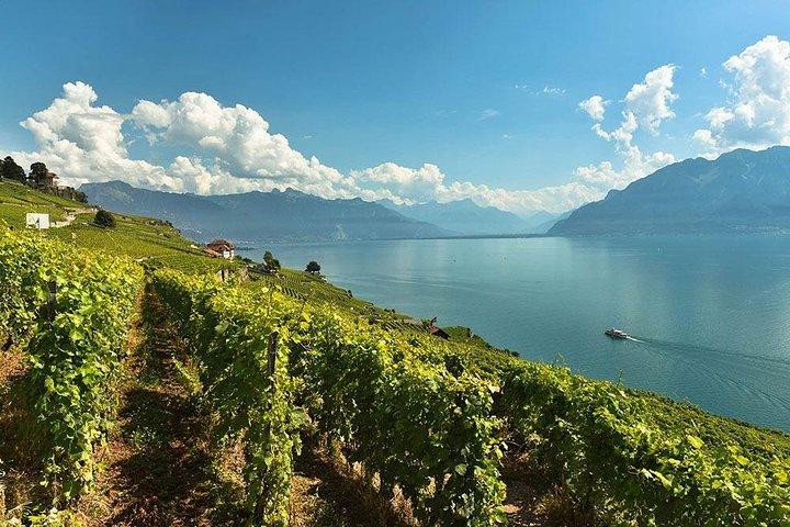 Lavaux Vineyardsでのスイスワインテイスティング：ジュネーブからのプライベートトリップ