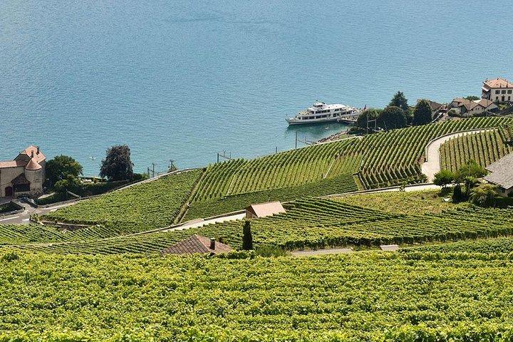 Lavaux Vineyardsでのスイスワインテイスティング：ジュネーブからのプライベートトリップ