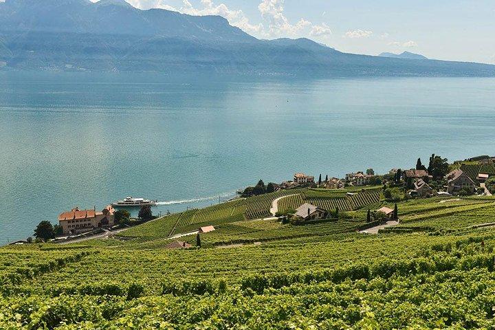 Lavaux Vineyardsでのスイスワインテイスティング：ジュネーブからのプライベートトリップ