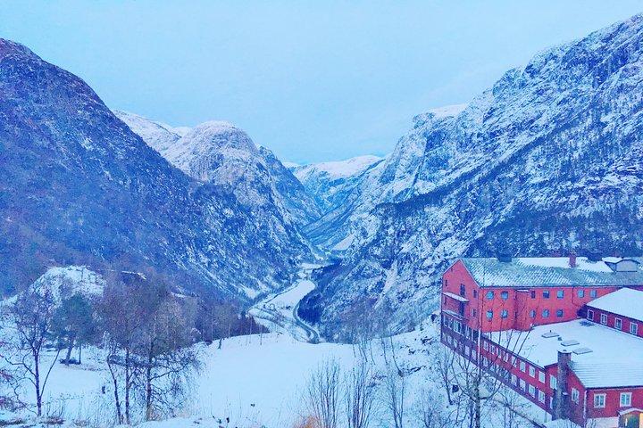 PRIVAT Guidad tur: Norges höjdpunkter - Resa till Sognefjorden - VINTER