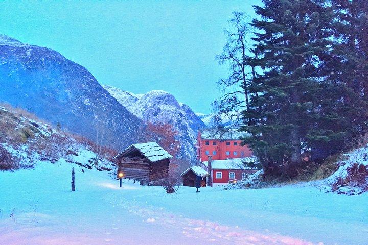 プライベートガイドツアー：ノルウェーのハイライト–ソグネフィヨルドへの旅–冬