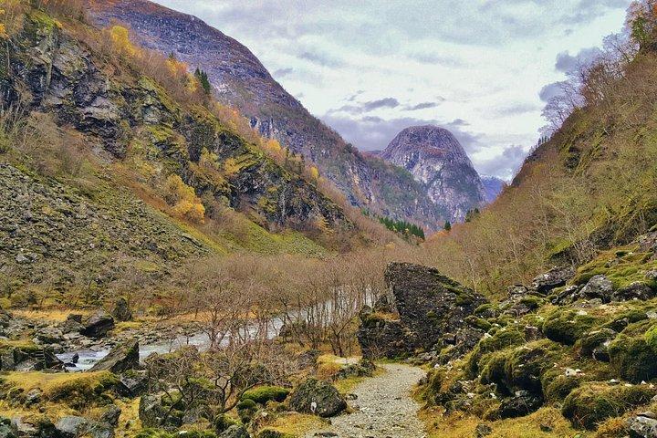 プライベートガイドツアー：ノルウェーのハイライト–ソグネフィヨルドへの旅–冬