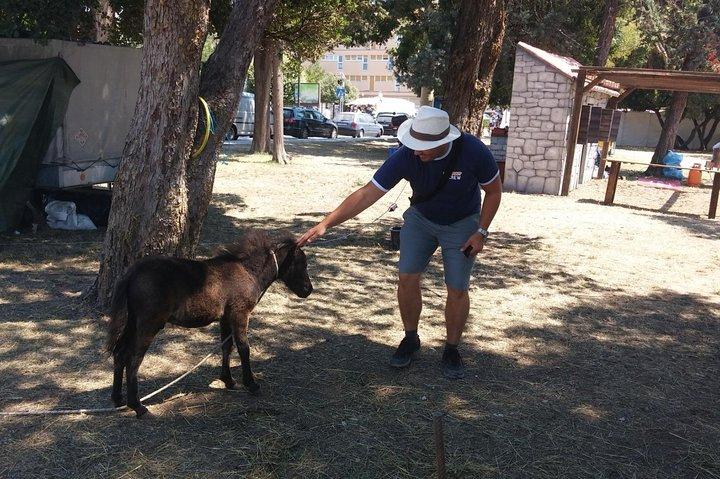 Transferência privada de Dubrovnik para Split com excursão a Mostar