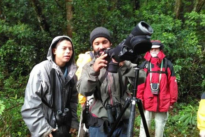 Monteverde Birdwatching Experience