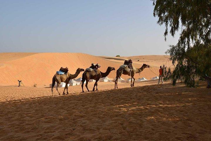 Discovery Senegal 8 Dias 7 Noites