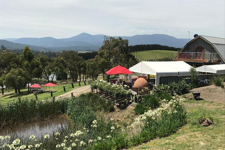 [VISITE PRIVÉE] Yarra Valley Winery | Excursion d'une journée