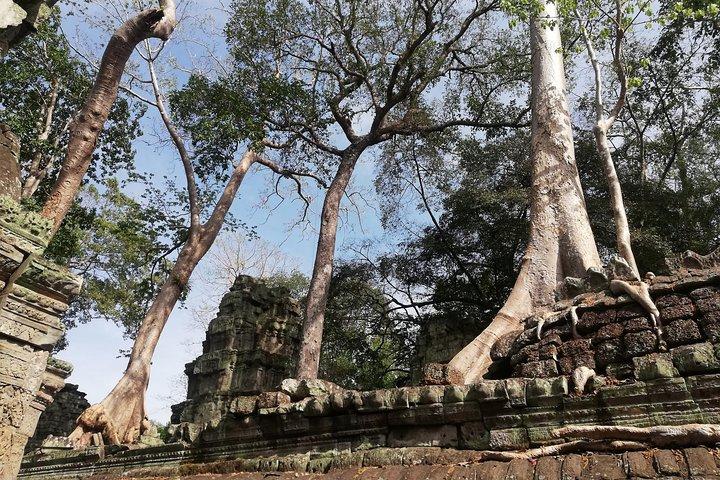 Afternoon Angkor Wat Private Tour with Sunset