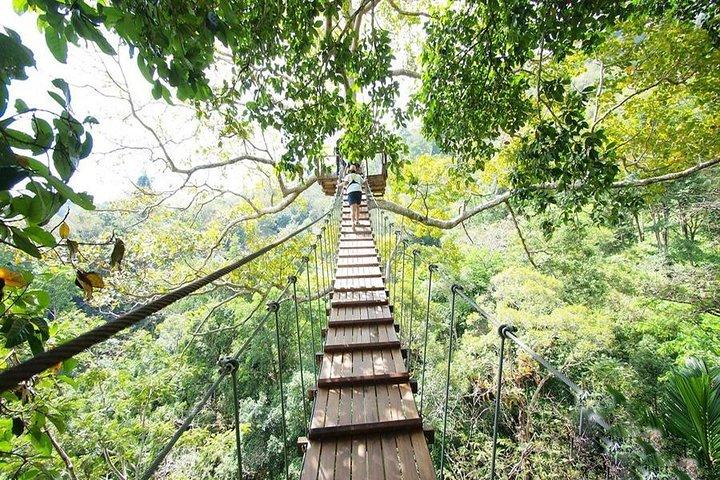 Flying Hanuman 42 plataformas con ATV Adventure