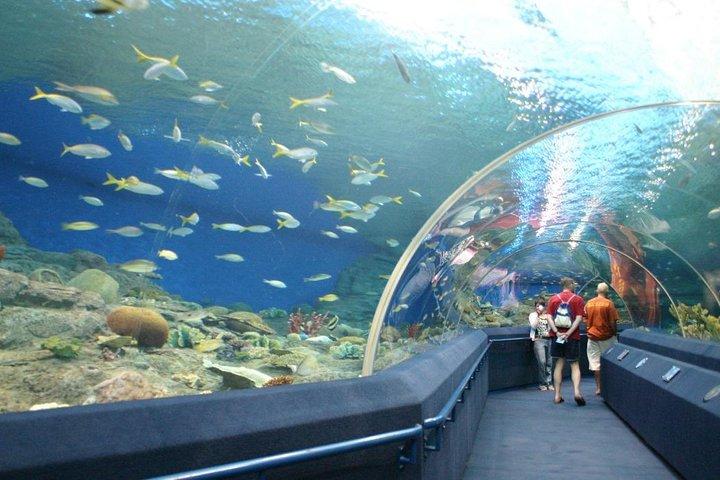 Submarino Mundial Pattaya Bilhete de Skip-the-Line