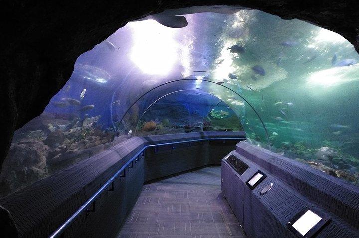 Submarino Mundial Pattaya Bilhete de Skip-the-Line