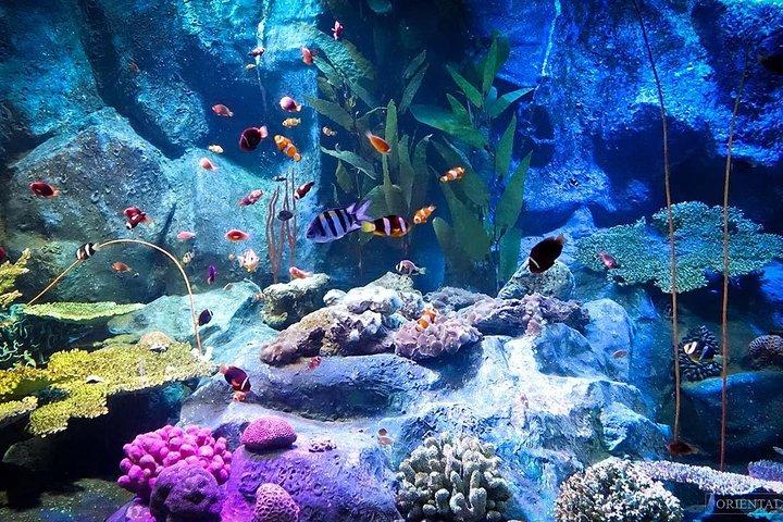 Submarino Mundial Pattaya Bilhete de Skip-the-Line