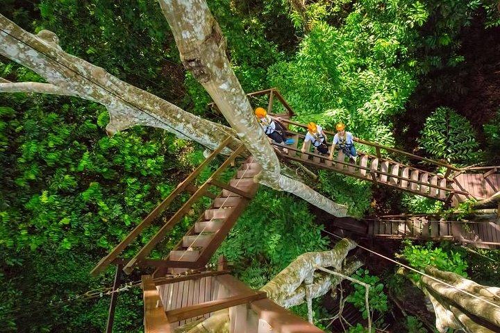 Flying Hanuman Ziplines 42 platforms with Transfer RoundTrips