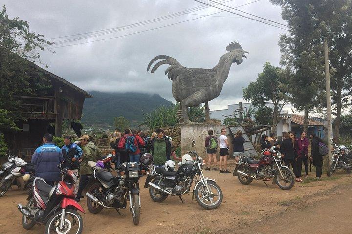 4Days tour to Saigon from Dalat
